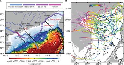 Oceanic and ecological response to native Typhoons Cempaka and Lupit (2021) along the northern South China Sea continental shelf: comparison and evaluation of global and regional Operational Oceanography Forecasting Systems